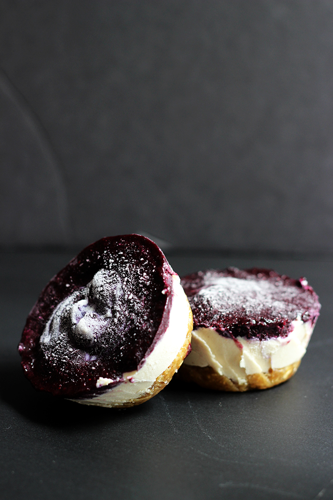 Vegan Mini Blueberry Cheesecakes | Dietitian Debbie